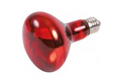 Varmelamper & -pærer - Trixie Infrared Heat Spot Lamp 100W R80 E27 - TX76097