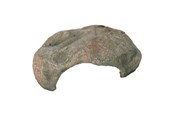 Terrarieindretning & dekoration - Trixie Reptile Cave 30×25×10 cm - TX76192