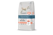 Hunde - Quattro Super Premium all breed Salmon 12kg - 13058