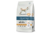 Hunde - Quattro All Breed with Poultry, Adult 12kg - 13053