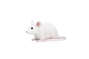 Legetøj - Mojo Farmland Mouse - 387235 - 387235