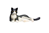 Legetøj - Mojo Farmland Lying Cat Black/White - 387367
