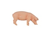 Legetøj - Mojo Farmland Pig Boar - 387080 - 387080