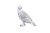 Legetøj - Mojo Wildlife Snowy Owl - 387201
