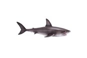Legetøj - Mojo Sealife Great White Shark - 381012