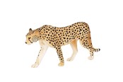 Legetøj - Mojo Wildlife Cheetah Male - 387197 - 387197