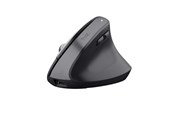 Mus - Trust Bayo+ Wireless Multidevice - Ergonomisk mus - Optisk - 6 knapper - Sort - 25146