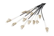 Netværkskabel - DIGITUS breakout cable - 30 m - black - Sort - 30m - DK-2433CU050BK-BBB