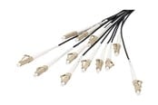 Netværkskabel - DIGITUS breakout cable - 100 m - black - Sort - 100m - DK-2433CU100BK-BBB