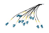 Netværkskabel - DIGITUS breakout cable - 100 m - black - Sort - 100m - DK-2A33CU100BK-BBB