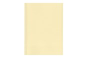 Arkivering & Opbevaring - Esselte - file folder - for A4 - yellow (pack of 100) - 44102