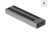 USB hub - DeLOCK - hub - 13 ports USB hub - USB 3.0 - 13 ports - Grå - 63738