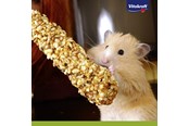Kanin & gnaver - Vitakraft Hamster Kräcker with Honey and Spelt - 25152