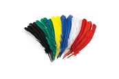 Kreativitet & Hobbyartikler - Colorations - Feathers 30cm Set of 24 - CHLGQUIL