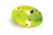Katte - Catit Play Treat "SPINNER" - H43750
