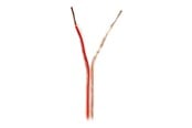 Audio kabel - Nedis bulk speaker cable - 100 m - CABR1500TR1000