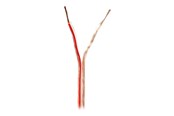 Audio kabel - Nedis bulk speaker cable - 15 m - CABR1500TR150