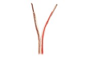 Audio kabel - Nedis bulk speaker cable - 100 m - CABR4000TR1000