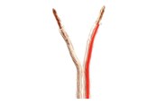 Audio kabel - Nedis bulk speaker cable - 15 m - CAGW4000TR150