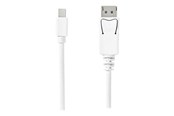 Skærmkabel - Nedis - DisplayPort cable - Mini DisplayPort to DisplayPort - 2 m - CCGB37404WT20