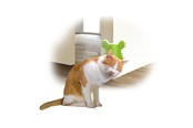Katte - AFP All For Paws - Groomer Corner 14*12*9Cm - (781.1020) - 781.1020