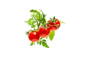 Smart Home - Click & Grow Click and Grow - Smart Garden Refill 3-pack - Mini Tomato (SGR5X3) - SGR5X3