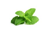 Smart Home - Click & Grow Click and Grow - Smart Garden Refill 3-pack - Peppermint (SGR22X3) - SGR22X3