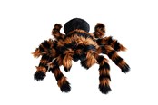 Gadget - Mikamax Giant Tarantula Plush 70 cm - 05153