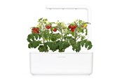 Boligindretning - Click & Grow - Smart Garden 3 Start kit (Color: White) (SGS1UNI) - SGS1UNI