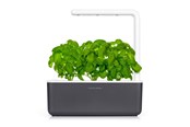 Boligindretning - Click & Grow - Smart Garden 3 Startkit - dark grey (SGS8UNI) - SGS8UNI