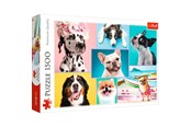Puslespil - Trefl Puzzle - Puzzles Cute dogs (1500 pieces) Floor - TFL26186
