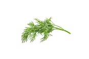 Smart Home - Click & Grow Click and Grow Smart Garden Refill 3-pack - Dill - SGR49X3