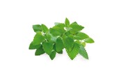 Smart Home - Click & Grow Click and Grow Smart Garden Refill 3-pack - Catnip - SGR29X3