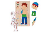 Puslespil - Goki Wooden Layer Puzzle Human Body Boy 29 pcs. - 57361