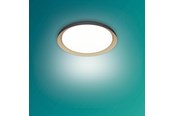 Lamper - Philips Pebblo UE Ceiling SS B 10W 40K - 929004116901