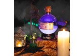 Legetøj - Fizz Creations Harry Potter Potion Lamp - Large - 5060960743930