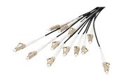 Netværkskabel - DIGITUS breakout cable - 30 m - black - Sort - 30m - DK-2433CU030BK-BBB