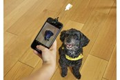Mobil - Andet Tilbehør - Kikkerland - Dog Treat Selfie Clip (DIG01) - DIG01