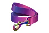 Hunde - Waudog gradient nylon dog leash 20mm wide 122cm - 46619