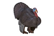 Figur - Mojo - Farmland Male Turkey - 387285