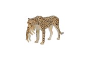 Figur - Mojo - Wildlife Cheetah Female with Cub - 387167 - 387167