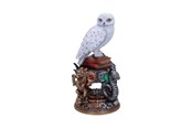 Merchandise - Nemesis Now - Harry Potter Hedwig Figurine 22cm - Figur - B6148W2