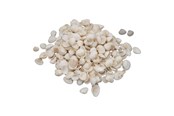 Kreativitet & Hobbyartikler - Colorations - Small Ark Shells 500 grams - 38WD12