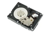 Harddisk - Dell - Customer Kit - hard drive - 12 TB - 512e ISE - SAS 12Gb/s - 12TB - Harddisk - 161-BBFN - SAS3 - 3.5" - 161-BBFN