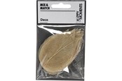 Kreativitet & Hobbyartikler - Creativ Company - Skeleton Leaves Natural Dried Leaves 20 pcs. - 504493