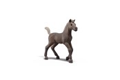 Schleich - Schleich Samleføl Darcy - 81460