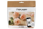 Kreativitet & Hobbyartikler - Creativ Company - Mini Craft Set Crepe Paper Carnations - 977473
