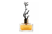 Parfume og dufte - Aurora Deciduous Autumn Eau De Parfum For Women 100 ml - 6290360540269