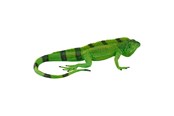 Figur - Mojo Wildlife Iguana - 381095