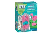 Leg & Læring - Clementoni Science & Play - Squishy Anatomy - 56605
